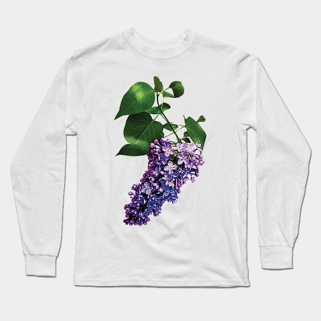 Lilacs - Graceful Purple Lilacs Long Sleeve T-Shirt by SusanSavad